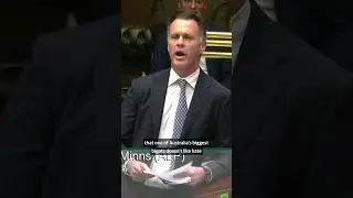 'One of the most bigoted MPs in the country&rsquo;: Minns attacks Mark Latham in NSW parliament
