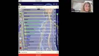 1/2/2025 Genius Insight Live Training with Denise Armenio