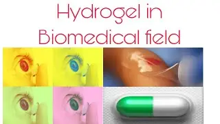 Biomedical Applications of IPN Hydrogels | Biomedical applications