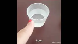 Como sembrar tomate