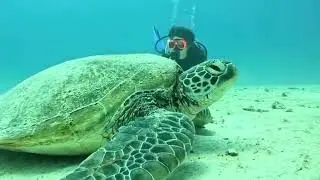 Happy Dive , Happy Adventure @ Dive Point Diving Center, Dive Point Siquijor, Divepoint Philippines 