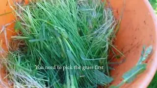 Easy way of drying grass