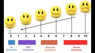True Health Webinar