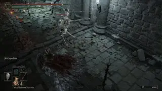 ELDEN RING Black Knife Catacombs Guide #eldenring #gaming #ps5 #rpg #darksouls