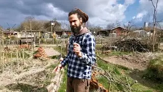 Los Raus 🌞 Gemüse Vielfalt zum Pflanzen 🌱 | Aussaaten April | 🎬 Folge 186