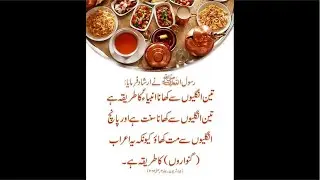 https://www.youtube.com/@Daily_delights7