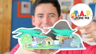 Como hacer la Maqueta de la Cadena Alimenticia -  TAP ZONE Mx