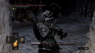 DARK SOULS REMASTERED Havel's Set vs Nito (Tank strategy)