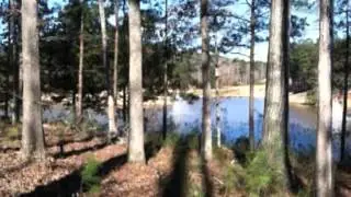 1021 Hatties View