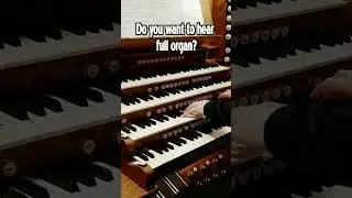 The Royal Albert Hall Pipe Organ! It sounds AMAZING!!!