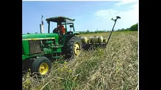 Cover crops take hold in Elkhart County
