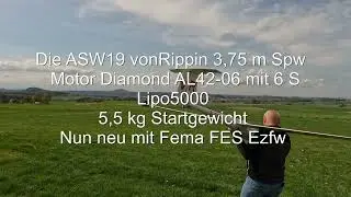 ASW19 mit FES EZFW  und hohem Gras