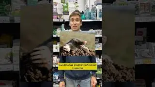 😱ЧЕМ ПОЛЕЗЕН КРОТ ⁉️
