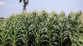 Farmers worry about economic outlook