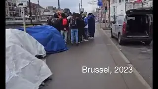 Brussels, Belgium - Victim of Mass Invasion Perpetuated By Their Traitorous Government - HaloRock