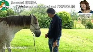 Renaud Subra r&eacute;&eacute;duque un cheval qui panique