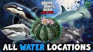 GTA Online &mdash; все локации подводных растений пейота