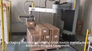 Column robot for palletizing cardboard boxes#robot #palletizer #roboticarm #automation