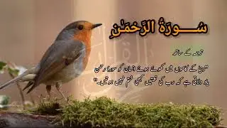 #سورۃالرحمٰن #SurahRahman  #QuranRecitation #IslamicVid #SpiritualHealing#QuranicVerses d