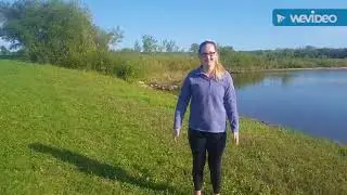 Understanding Nitrogen Runoff in Iowa Water