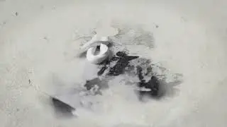 Cash cow video sample