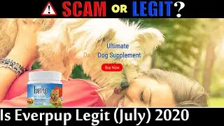 Is Everpup Legit [July 2020] Legit or a Scam Site? | Scam Adviser Reports