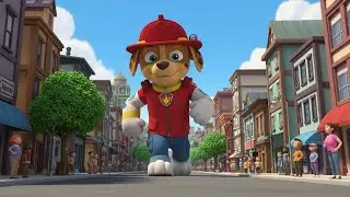 Marshall Becomes a Giant Monster! Paw Patrol Wrong Chemical Story | 3D Cartoon for Kids