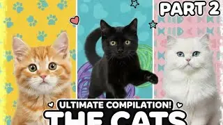 The cats(part2) 😍#longvideo #subscribe #like 