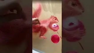Chinese embroidered squirrel