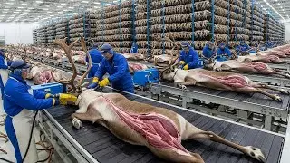 How Deer Farming Became a Multi-Billion Dollar Business &mdash; Inside the Mega Facility
