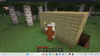 minecraft series 3: goodbye