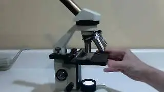Microscope Place the slide on the stage