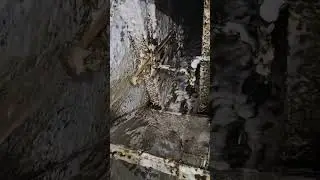 WATCH THIS CHEMICAL DISSOLVE NASTY KITCHEN GREASE