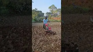 Bapu kishan hai 🌾🌱💪#khetibadi #villagelife #shortsviral #village #farmlife #tractorvideo #viral