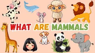 What Are Mammals? | Mammals for Kids – Best Educational Video