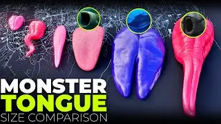 Monster Tongue Size Comparison 👅 &ndash; Bloop vs Sea Eater