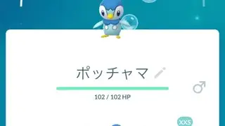 コミュニティ•デイ（復刻）　ポッチャマ始まったね。色違い出ず　（ポケモンGO）