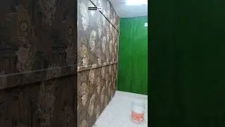 #smallshop #cafe #restaurant #interior #wallpaper #artificialgrass #instalation #shorts #rohtak