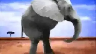 nek minnit retarded elephant
