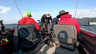 Невероятно! Гигантский чавыча и кижуч, буй 10! #рыбалкалосося