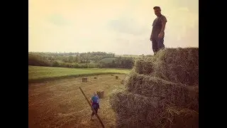 VLOG #019 PORODICA VULETIĆ NA NJIVI