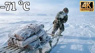 Hunting Wild Yak in &ndash;71&deg;C: The Ultimate Frozen Meat Haul