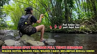 🍃 SPOT WADERAN FULL TEDUH SEHARIAN ✅ WADER KEPEK, WADER PARI, WADER CAKUL MELIMPAH SEKALI DISINI 💥