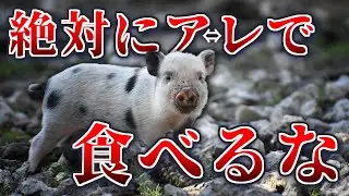 【絶対】豚肉を刺身で食べてはいけない理由