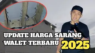 UPDATE HARGA SARANG WALET TERBARU 2025😱😱