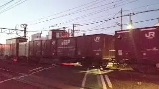 73レ EF210-104+コキ24B