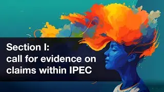 Section I: call for evidence on claims within IPEC