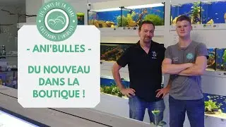 L&rsquo;aquariophile  avec Ani&rsquo;bulles ! - BONUS exposition d&rsquo;insectes 🐜