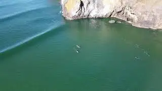 Surfers at Yaquina head/Agate Beach Newport Oregon
