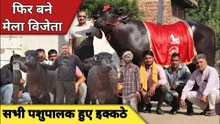दो कटड़ी और बुल बना मेला विजेता, सभी पशुपालक हुए इक्कठा